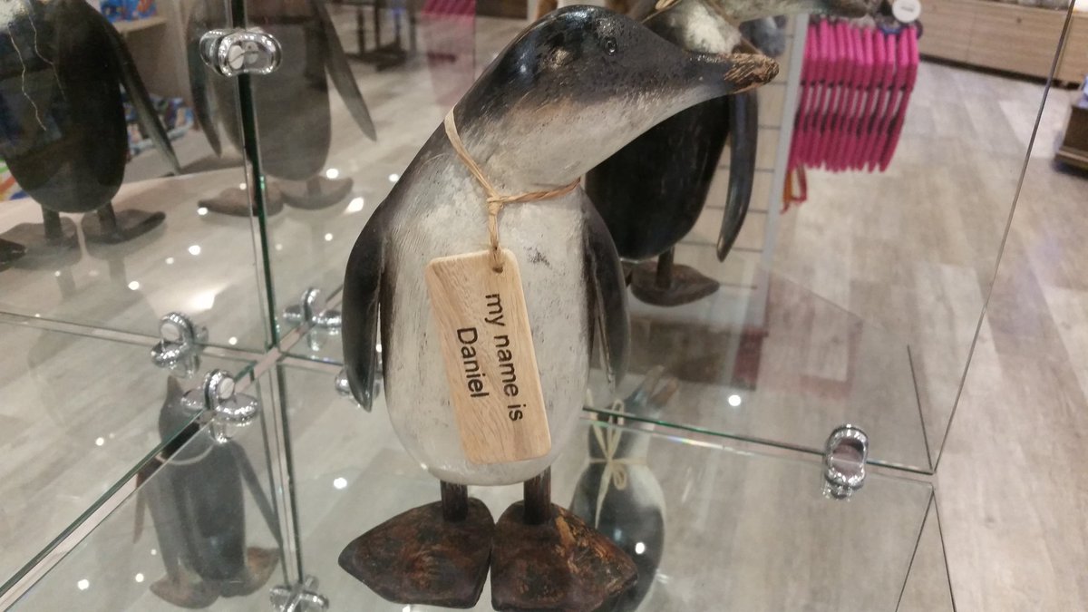 EverettEverj's tweet photo. @danielhowell i found you today https://t.co/mdbuDPHqna