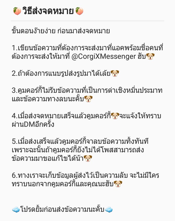 🍑คูมคอร์กี้แมสเสจ🍑 tweet media