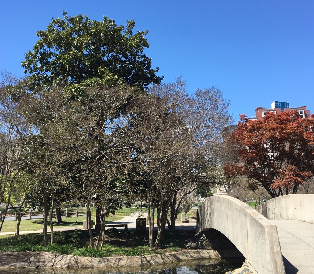 Root, Uncover Deep alovedchristian.wordpress.com/2018/04/13/roo…