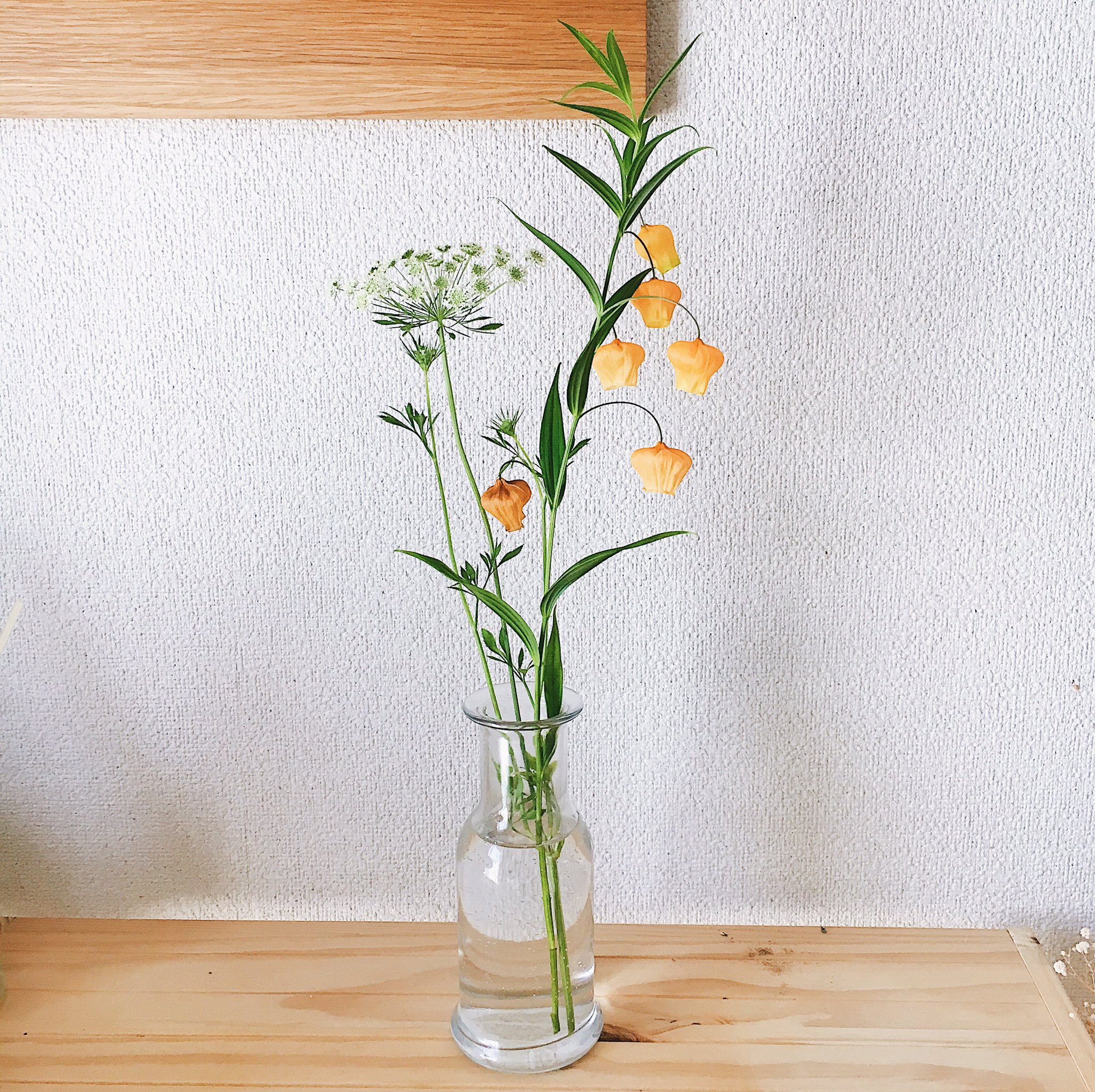 Tomoe 花のこと サンダーソニアとレースフラワー サンダーソニアの花言葉は見た目の可愛らしさから愛嬌っていう言葉があるみたい なんて可愛らしい いつもは親に不評な私の一輪の花選びだけど 今回はいいねと言ってくれました T Co Ebv6c9qxxk