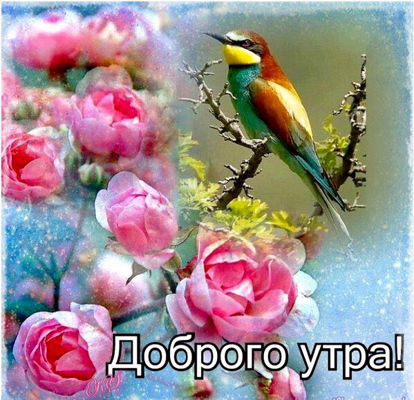 Открытки галочка доброе утро, марки открытку