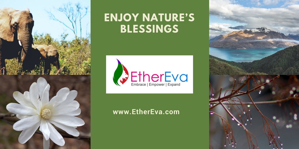 EtherEva's tweet photo. #naturelover #EcoFriendly #goGreen #EtherEva #sustainable #savetheplanet https://t.co/uEXbd34TmQ