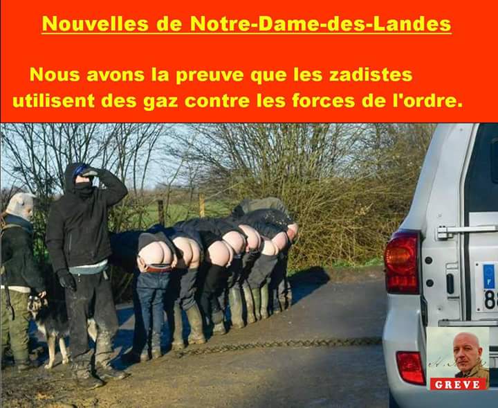 Pingtoff's tweet image. 