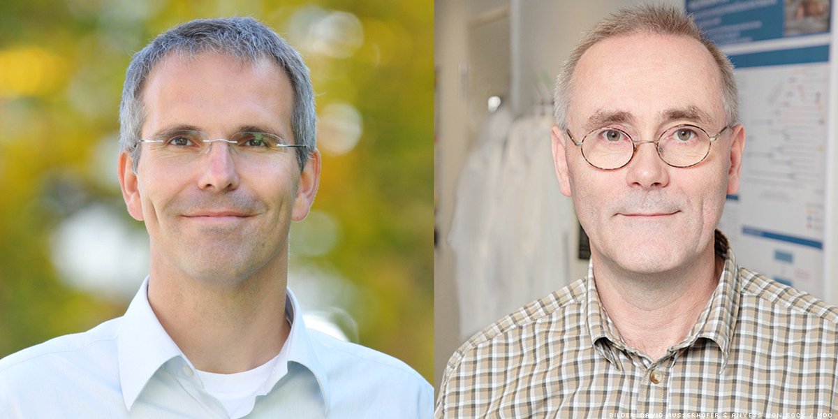Congratulations! Our scientists Gary Lewin and Norbert Hübner receive a combined 4.8 million Euros #funding by <a href="/ERC_Research/">European Research Council (ERC)</a> for their #research on the nervous system and the heart 🧠❤️
mdc-berlin.de/news/press/two…