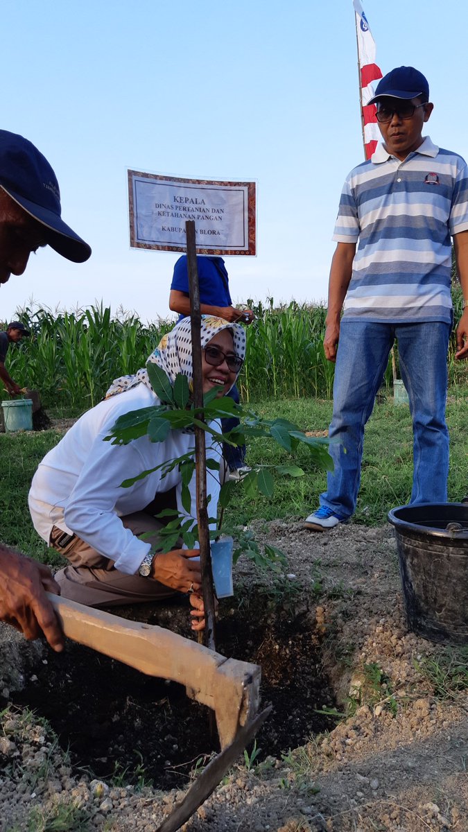 Optimalisasi pengembangan kawasan buah2an di embung pleret Ds. Purworejo 
<a href="/kecamatanblora/">kecamatan blora</a> sbg distinasi agrowisata, sekaligus penyerahan saprotan dan alsintan pengembangan kawasan cabai merah 3 ha oleh <a href="/Djoko_Arief/">Bupati&Wabup Blora</a> didampingi <a href="/nunikreni/">Reni Miharti</a>...jogo lan diopeni ya guysss..<a href="/ditjenhorti/">Direktorat Jenderal Hortikultura Kementan</a>