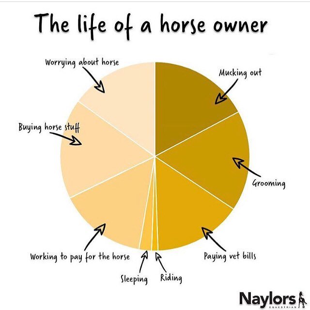 LakesBarn's tweet photo. Couldn’t be more accurate 🙈 Happy Friday everyone! 😆

#lakesbarn #equestrianlife #equestrianfashion #showjumping #showjumper https://t.co/kRy2CcUpXb