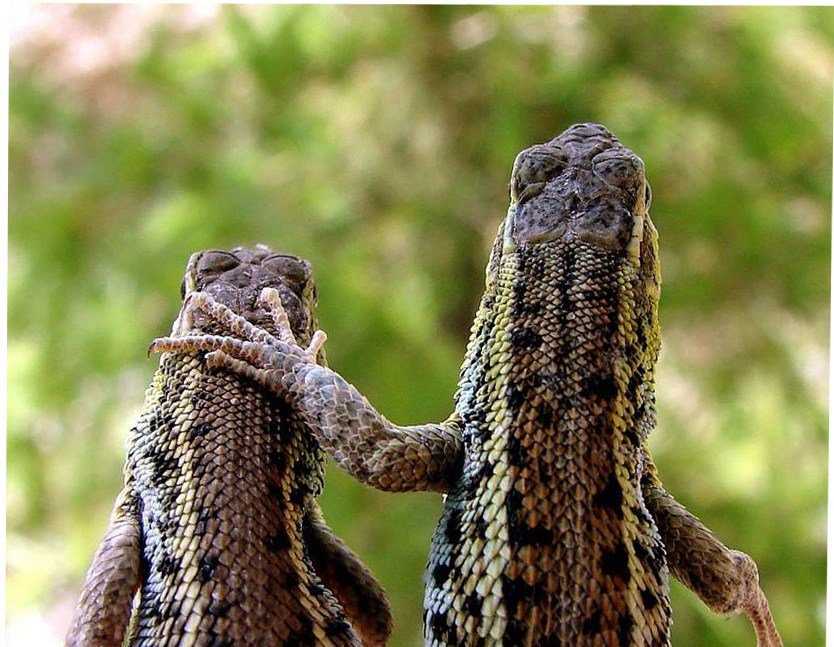 FreedomFromHarm's tweet image. Being the friend... in sickness &amp;amp; in health #mentalhealth freedomfromharm.com/2018/04/13/fri…