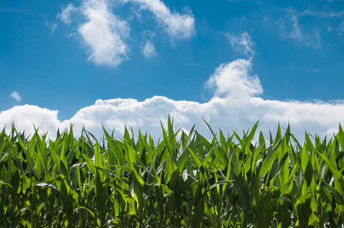#EU programme LIFE 2018 recorded #webinar Are you looking for an opportunity to fund the first implementation of a #bio-based and #environmental_friendly #technology, #process or #product? Then the EU’s LIFE #funding_programme might be for you. tinyurl.com/y7w3rtwy