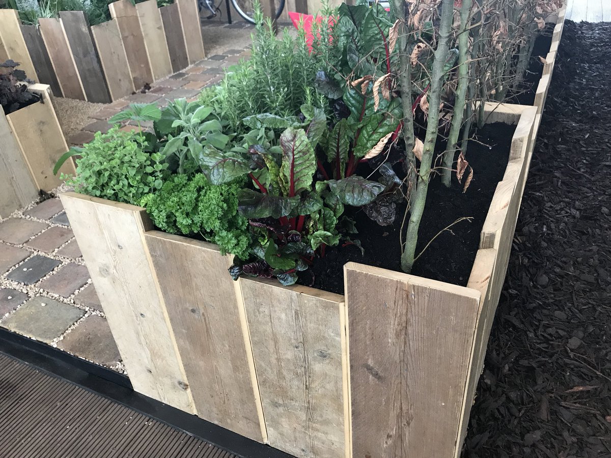 YGOTYear's tweet photo. Congratulations to @capelmanor on winning Gold @Ascot #SpringGardenShow in the #YGOTY competition and being best in show! https://t.co/HYvCPDBbFM