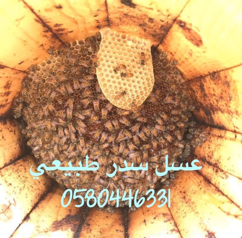 Asslsdr3Asslsdr's tweet photo. #السنة_السادسة_لجولي_شيك
#الجمعه 
#الهلال_بطل_الدوري_2018 
#الرياض #القصيم_الان #الدمام_الان #الجبيل_الصناعية #حايل 
عروض خاصه
عسل سدر اصلي من مناحلي الخاصه مضمون ذمه ومختبر مفيد بإذن الله لامراض الباطنيه والقولون للطلب 0580446331 https://t.co/8W6GrzS4Xe