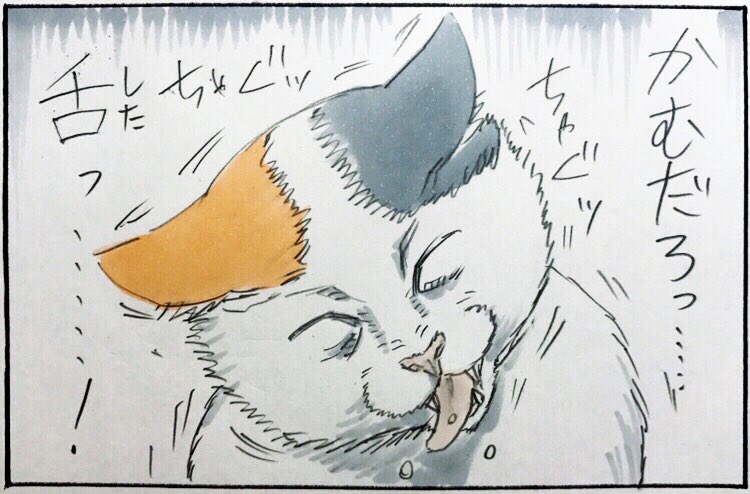 『猫のふしぎ』 