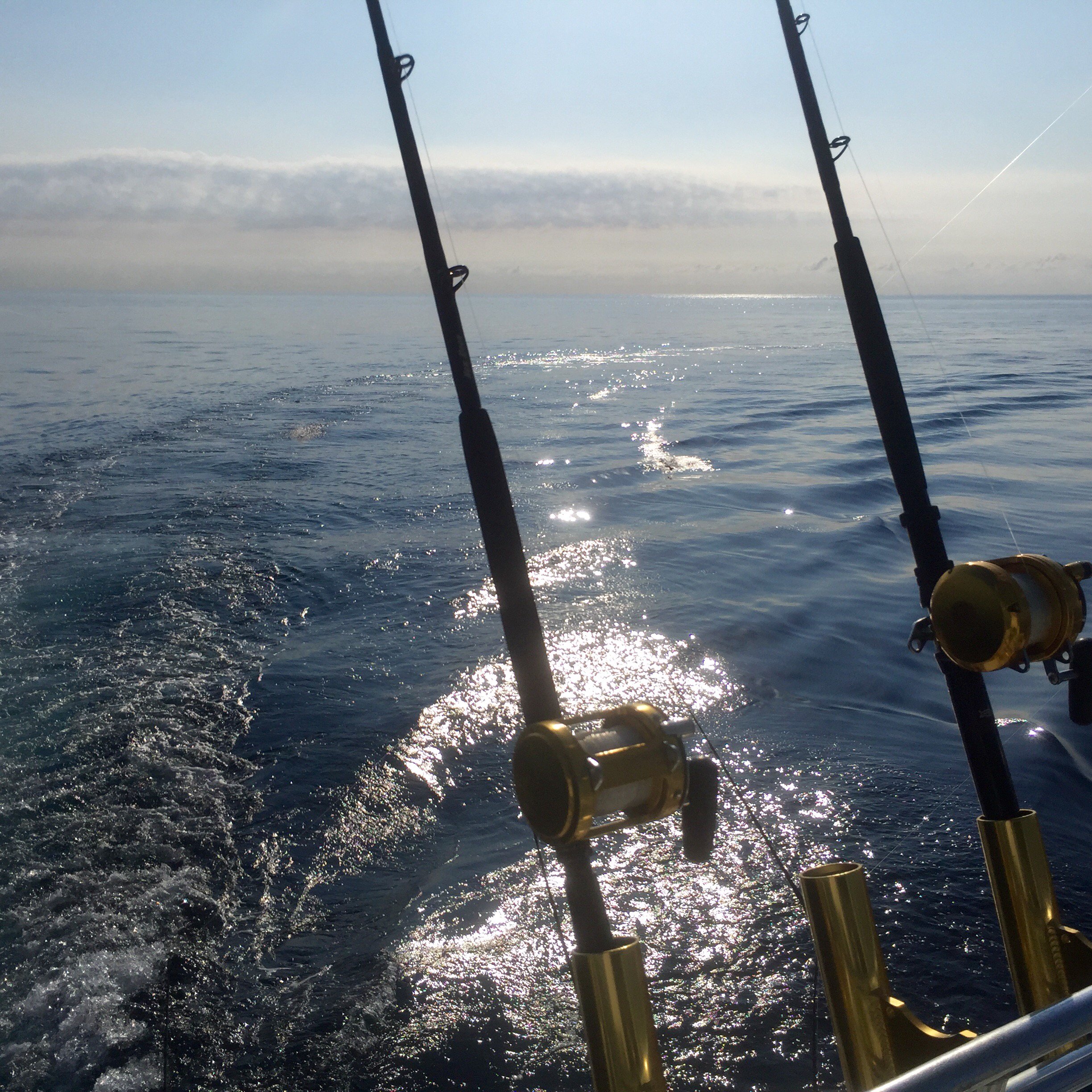 NewMoon Sportfishing (@newmoonfishing) / X