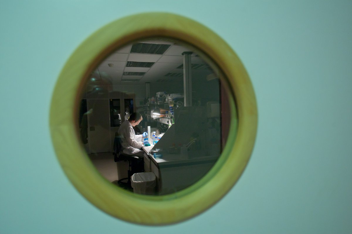 FundacionMLC's tweet photo. A través de nuestra área de #Investigación apoyamos el nuevo #Afrilab que ha puesto en marcha en Navarra la Fundación NAMA, con el fin de desarrollar nuevas líneas de abordaje de enfermedades endémicas de #África Central como la malaria o o la hepatitis B: https://t.co/4s4ITjVjfs https://t.co/v2fvbCQLZI