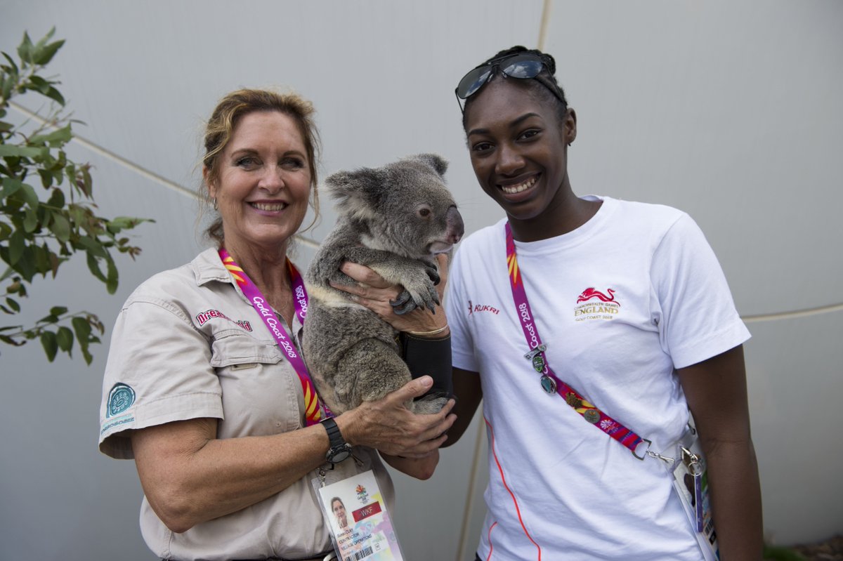 village_source's tweet photo. Did you get to cuddle with a koala today in the #GC2018 Athlete's Village?! ๐จ Melita Emmanuel-Carr from @TeamEngland certainly did! Tag us in your photos because we can't get enough of this furry creature! (๐ท by Micah Crook) #VillageSource #GriffComms #GriffithUni https://t.co/7RR5lHLVyT