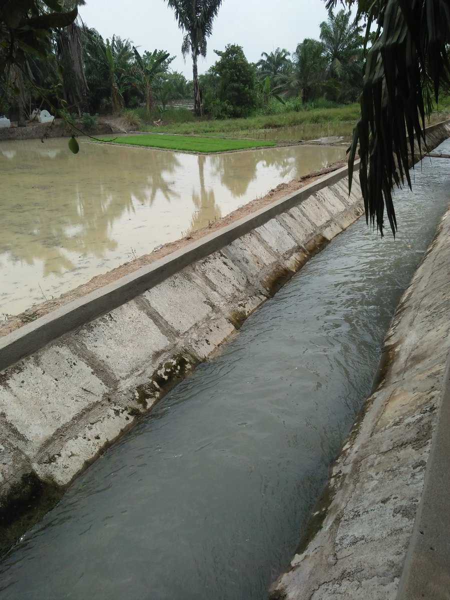 Pedesaan lebih sejuk dr perkotaan