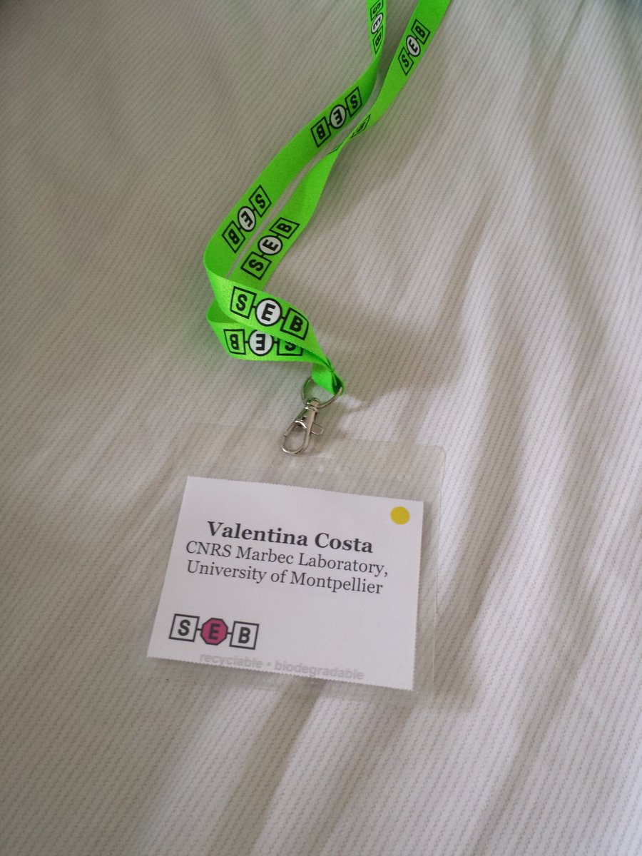 Valentina Costa tweet media