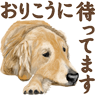 ままいぬ ゴールデンレトリバーのスタンプ 只今 ゴールデンレトリバーのスタンプ描き中 新しいスタンプをgw前に申請し終わる予定が ムリなことが早々と決定してしまいました 涙 タブレットの不調 ペンも壊れる寸前 Pcも不調 週末 修理に出して