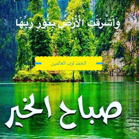 fatamy38UAE's tweet photo. https://t.co/HoB8XWS1Xm