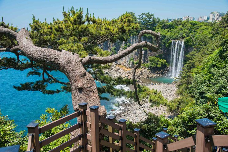 vhispania's tweet photo. En esta isla se encuentra la naturaleza más bella de #CoreaDelSur... y el amor. ¿Por qué será que es una de las más visitadas por surcoreanos en sus lunas de miel? Descúbrela vía @CNTravelerSpain #viajar #travel #Corea https://t.co/jvZ7bD93ns https://t.co/U2ZL9IVa4o