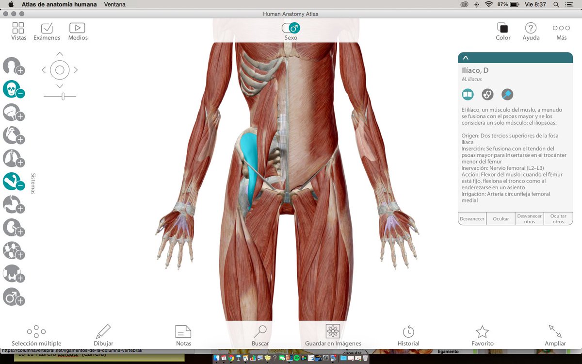 david_mpozo's tweet photo. Preparando ya el contenido educativo para el año que viene, tanto a nivel presencial como el multimedia.
Adoro mi trabajo...
#QualisTrainingLab #live_coaching @qualismotus https://t.co/aHwQLsW3ZE