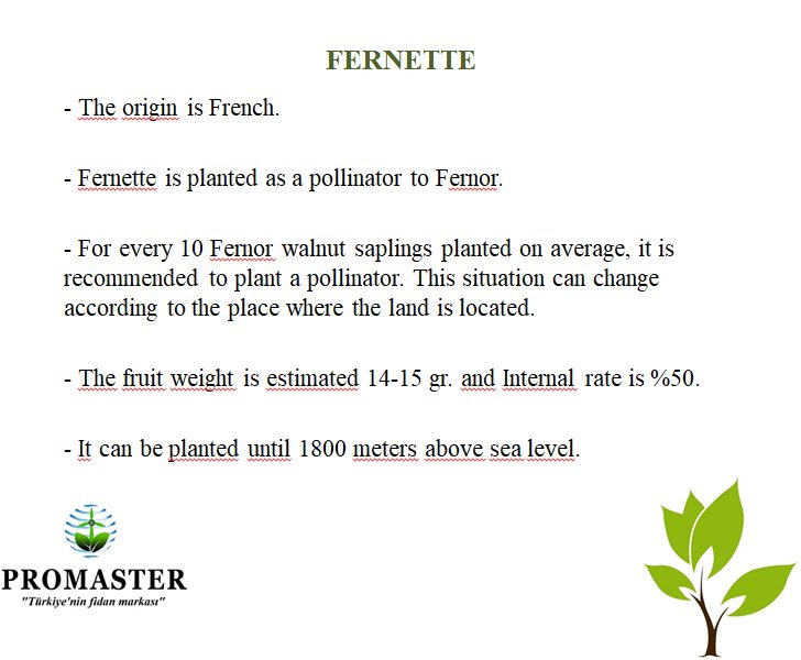 PromasterTarim's tweet image. Ceviz fidanı talepleriniz için;
For walnut sapling demands;

promasterltd.com