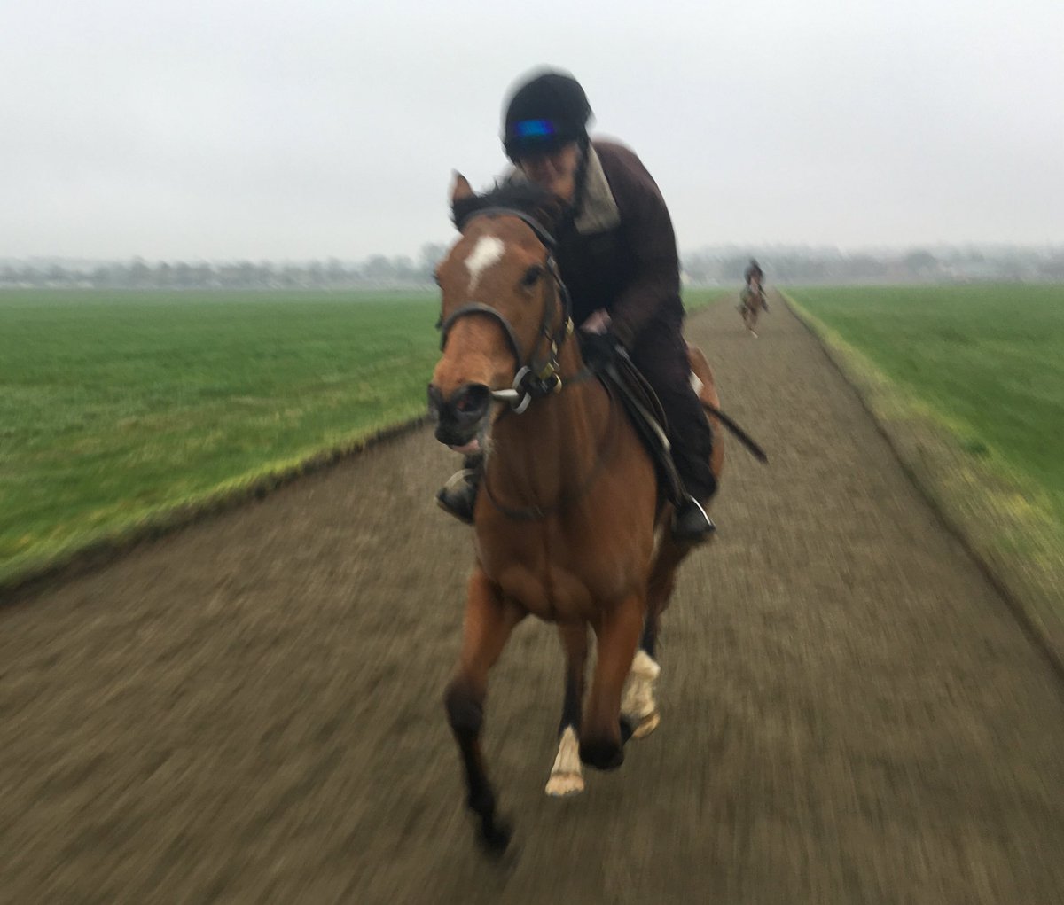 JohnWathenBerry's tweet photo. Only light rain @NewmarketGallop this morning; low cloud; 7 degrees. Still living the dream #WastedSunsets https://t.co/lxmr41bIUe