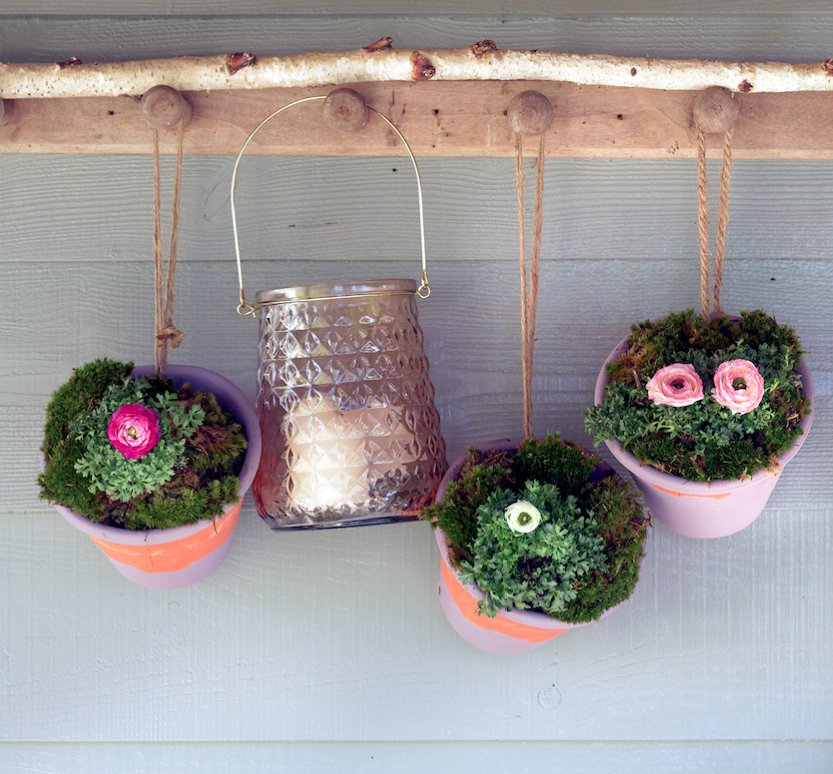 Modern_Gardens's tweet image. We love this pretty display using ranunculus. Now that the weather is (slowly!) warming up, they work well potted up in a spot where there is full sun. #ranunculas #springdisplay #springgardening