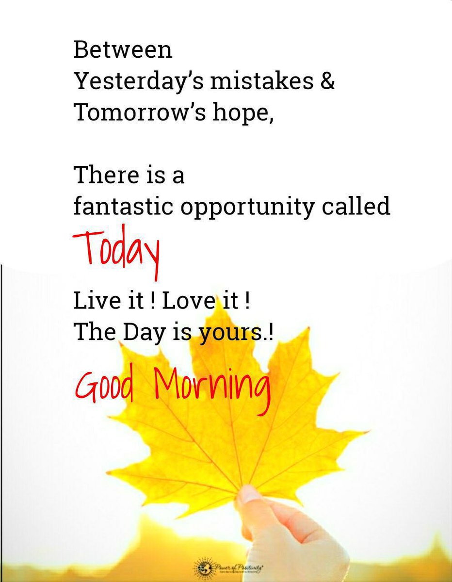 PositiveSue's tweet photo. This day is yours! 

#liveintheNow
#suestone #suestonefoundation #lovelifelivelife  #motivationalspeaker #happinesscoach #empowermentcoach #successcoach #personaldevelopmentcoach #selfhelp #personaldevelopment #lawofattraction https://t.co/gQRuJqxwzQ