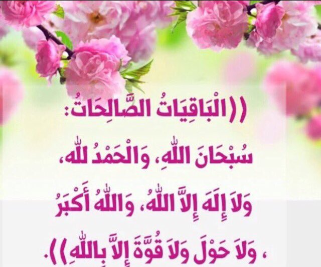 الْبَاقِيَاتُ الصَّالِحَاتُ: سبحان اللهِ، والحمدلله،ولاإله إلا الله،والله اكبر🌹