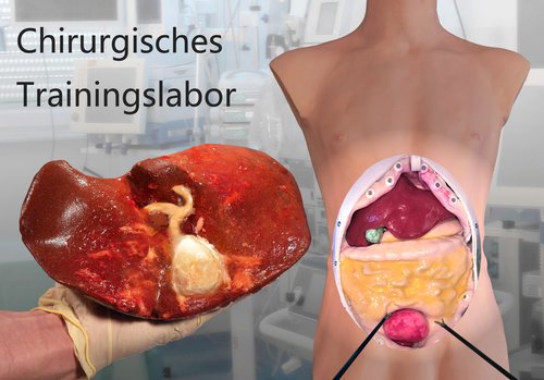 HumanX_GmbH's tweet photo. Wie man auch ohne Tierversuche chirurgische Übungen durchführen kann, zeigen wir euch im #chirurgischen #Trainingslabor auf dem 135. #Chirurgenkongress in #Berlin ab dem 18.04. #DGCH18 mehr Infos unter https://t.co/QfSMVkf8h6 https://t.co/BwdzRUWKlU