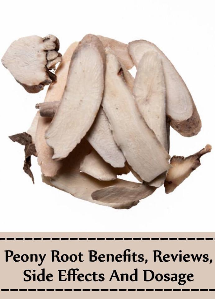 vitaminsestore's tweet photo. 5 Peony Root Benefits, Reviews, Side Effects And Dosage

https://t.co/rY1EZM5dt6

Share It If You Like #vitaminsestore #peonyrootbenefits #peonyrootdosage #peonyrootreviews https://t.co/0erEv17wPD