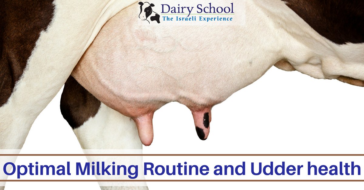 #Milkquality, #Milkproduction and #Milking duration are impotent parameters in each #Dairy #Farm. In our Seminars you will learn How to improve your Milking Routine and Udder health.