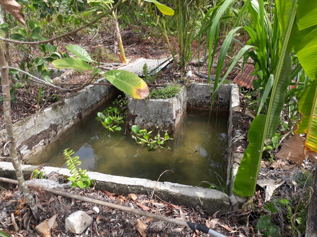 Arifin PPB Natuna tweet media