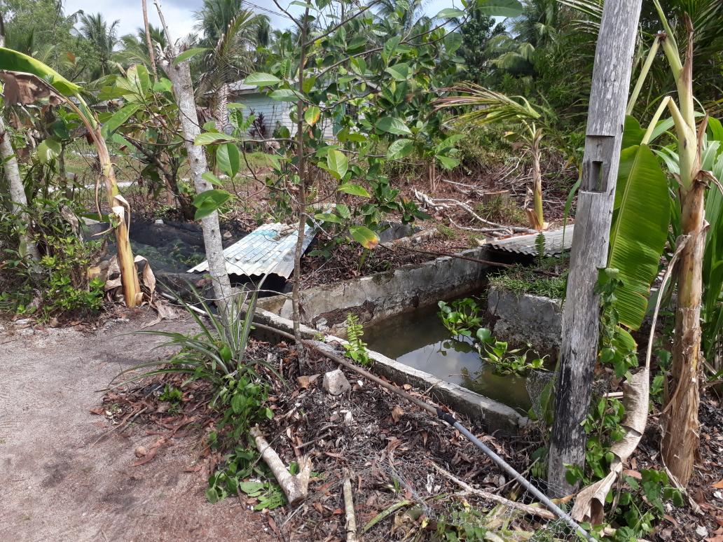 Pembenihan lele tp belum tau caranya. PPB mendamping n pns maka pembenih tau cara proses pembenihan dr awal <a href="/fisheris_/">PENYULUH PERIKANAN BANTU</a> <a href="/kkpgoid/">KKP RI</a> <a href="/mzulficar/">ZulficarMochtar</a>