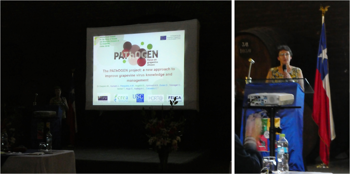EuPathogen's tweet photo. "The #PAThOGEN project: a new approach to improve #GrapevineVirus knowledge and management", our presentation at the 19th #ICVG 🍇 #ICGV2018 https://t.co/NFSNemulFI