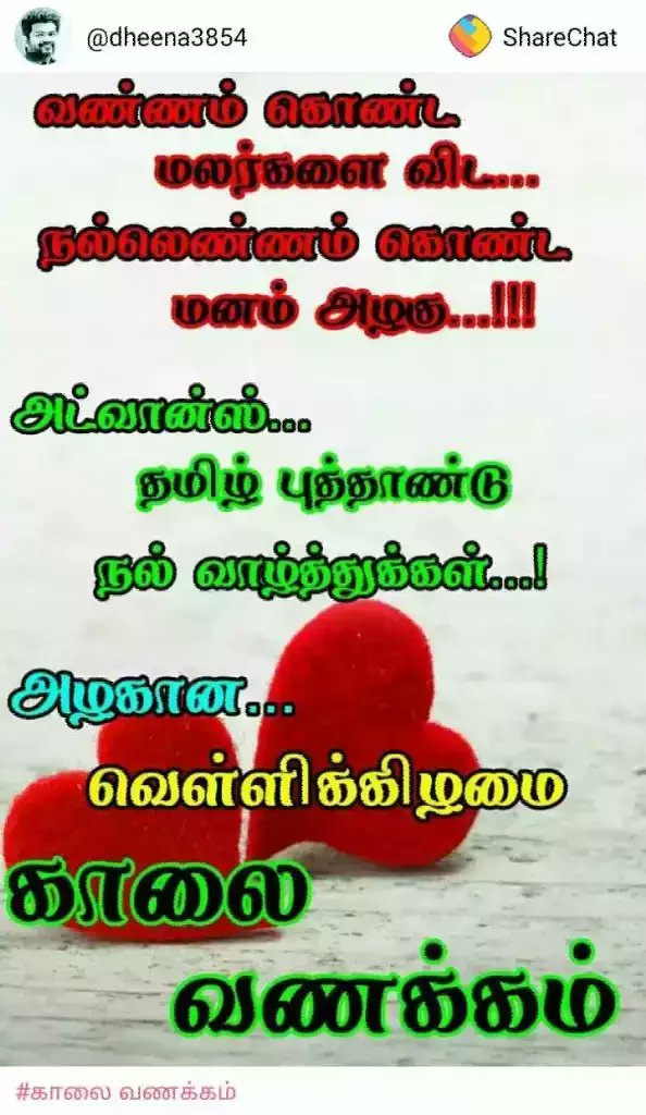 alani_n's tweet photo. https://t.co/DrGEDuYJON