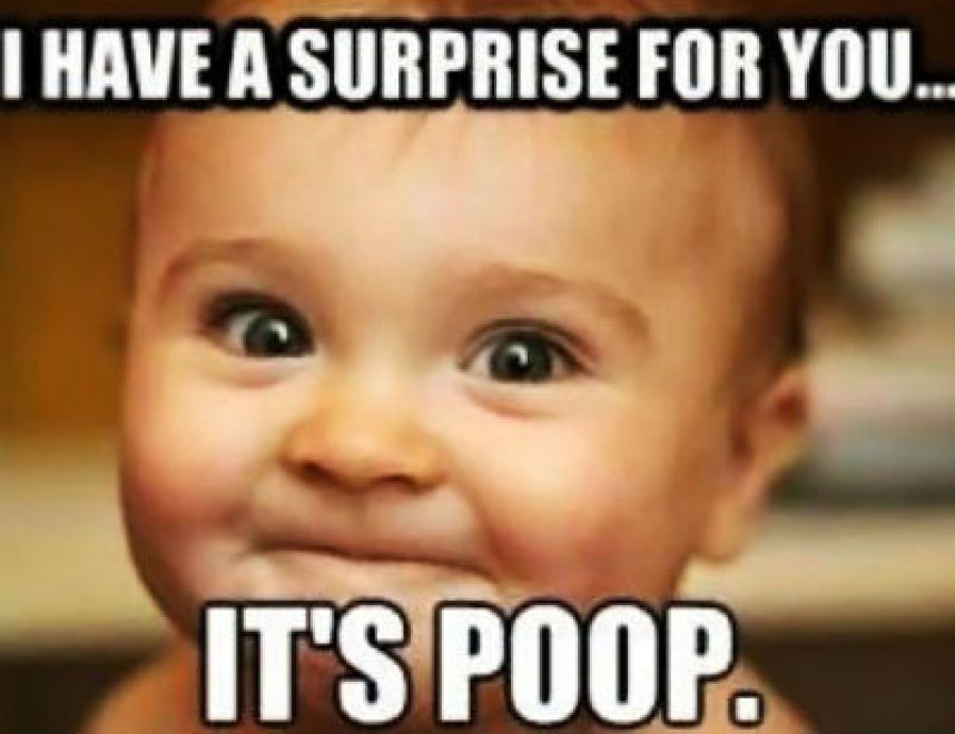 KerrificOnline's tweet photo. RT @momenvyblog: #baby #funnybaby #cutebaby #funnyfcae #lifestyleblog #parenting #momenvyblog #momblog #fashionblog #motherlove #motherhood 
#guestblog
Hi Guys !! please follow us for interesting information about #parenting

It is about #toplists #homei… https://t.co/KqVj6m2kST
