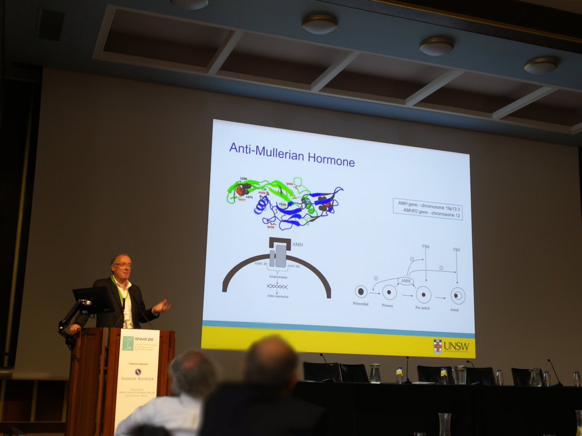 Prof. William Ledger of <a href="/UNSW/">UNSW</a> shows his favourite molecule during his talk about Individualised #IVF stimulation
