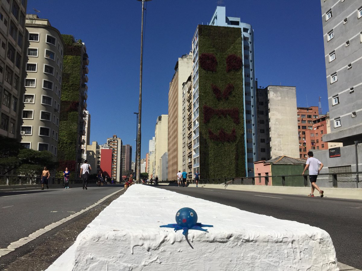 Squidgy in the beautiful city of São Paulo, Brazil. Thanks to Rodrigo Olmos for the wonderful photo! Check out all of Squidgy's adventures at showmorespine.com #showmorespine #squidgyaroundtheworld