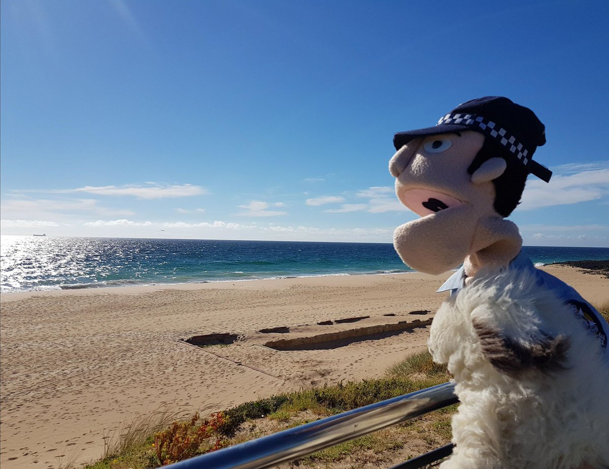 ConstableCare's tweet photo. Happy last day of term, teachers π
We hope you have a lovely, restful holiday!
#perth #perthteacher https://t.co/XGvtzbQYrn