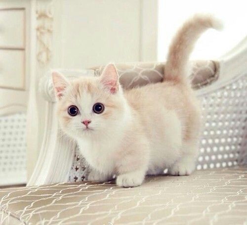 TestinaMaria's tweet photo. @template_tm look at this! https://t.co/dEjdBdfkSo