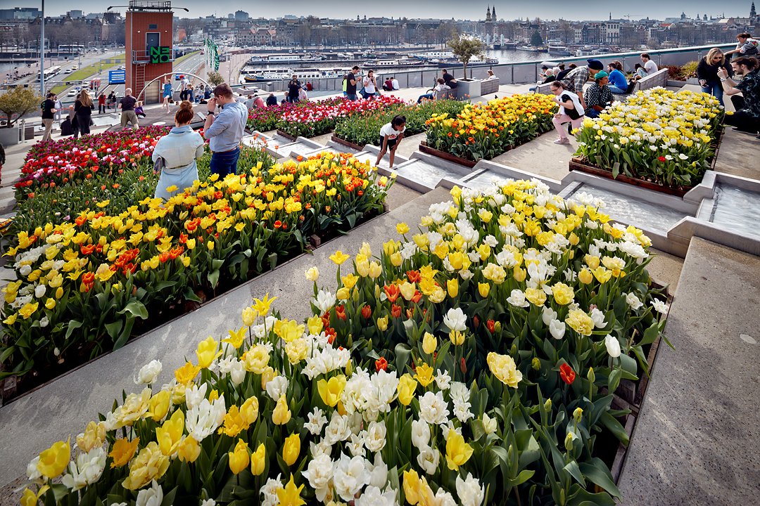 NEMO Science Museum tweet media