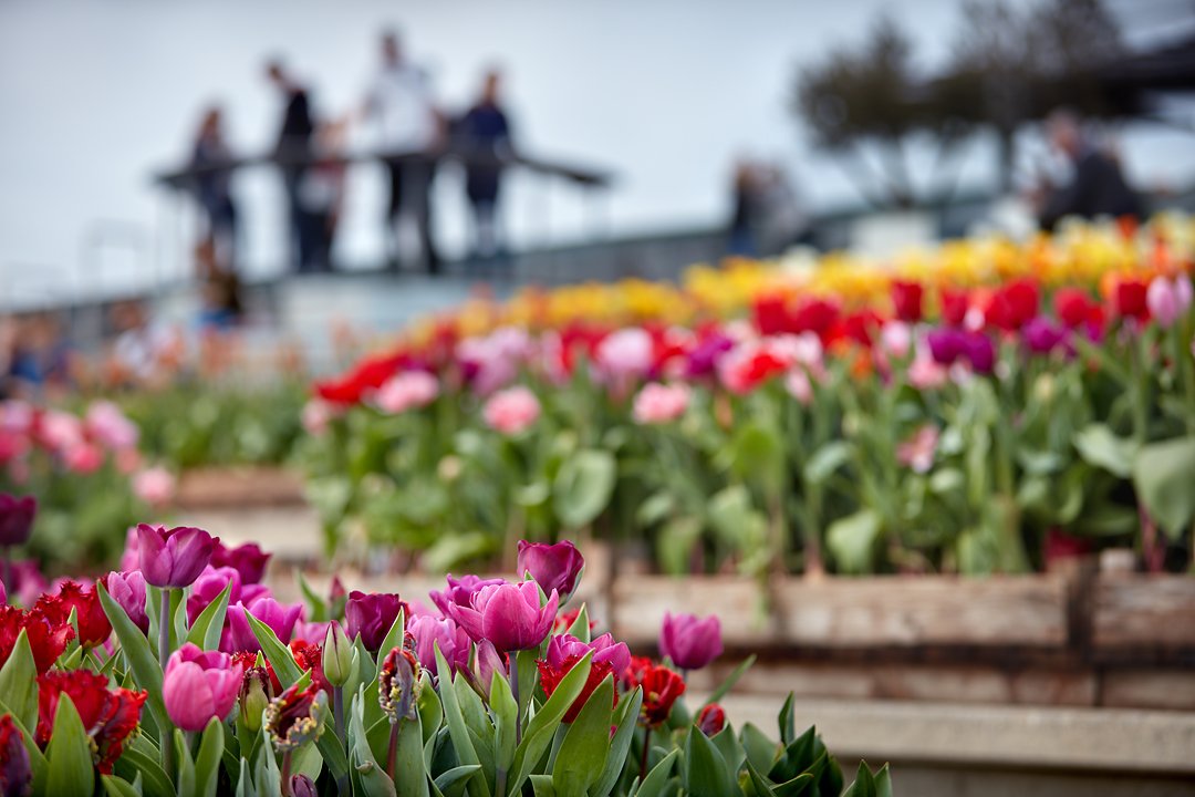 NEMO Science Museum tweet media