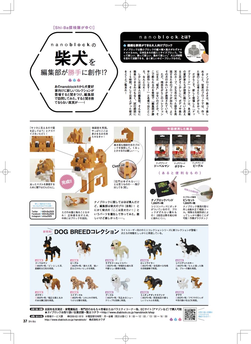 Shi Ba シーバ 犬びより On Twitter ナノブロック Dog Breed