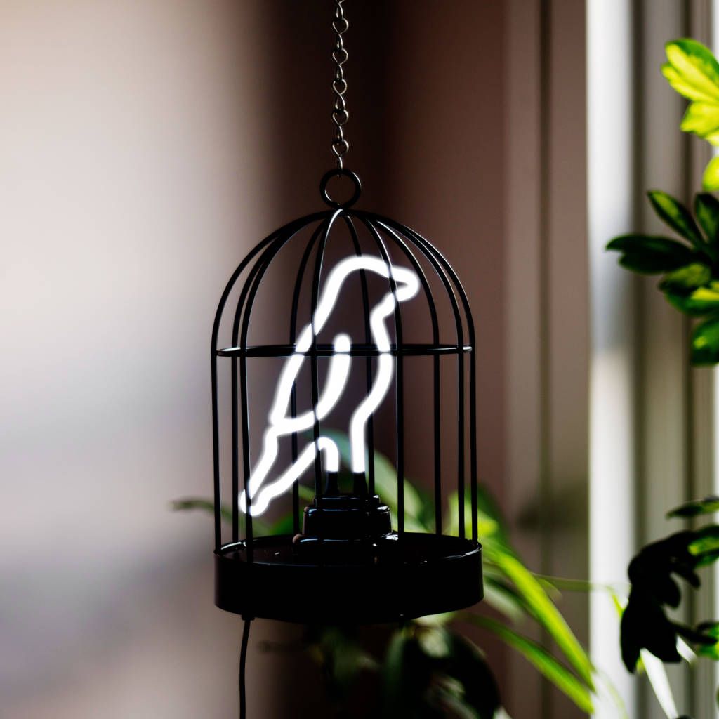 Looking for a pet? How about a mess free one!

All the pleasures of owning a pet bird with added convenience of an on-off switch and no need for feeding or cleaning up bird poop.

allthingsbrightonbeautiful.co.uk/neon-bird-in-a…

#gifts #homedecor #interiordesign #interiors #lighting
