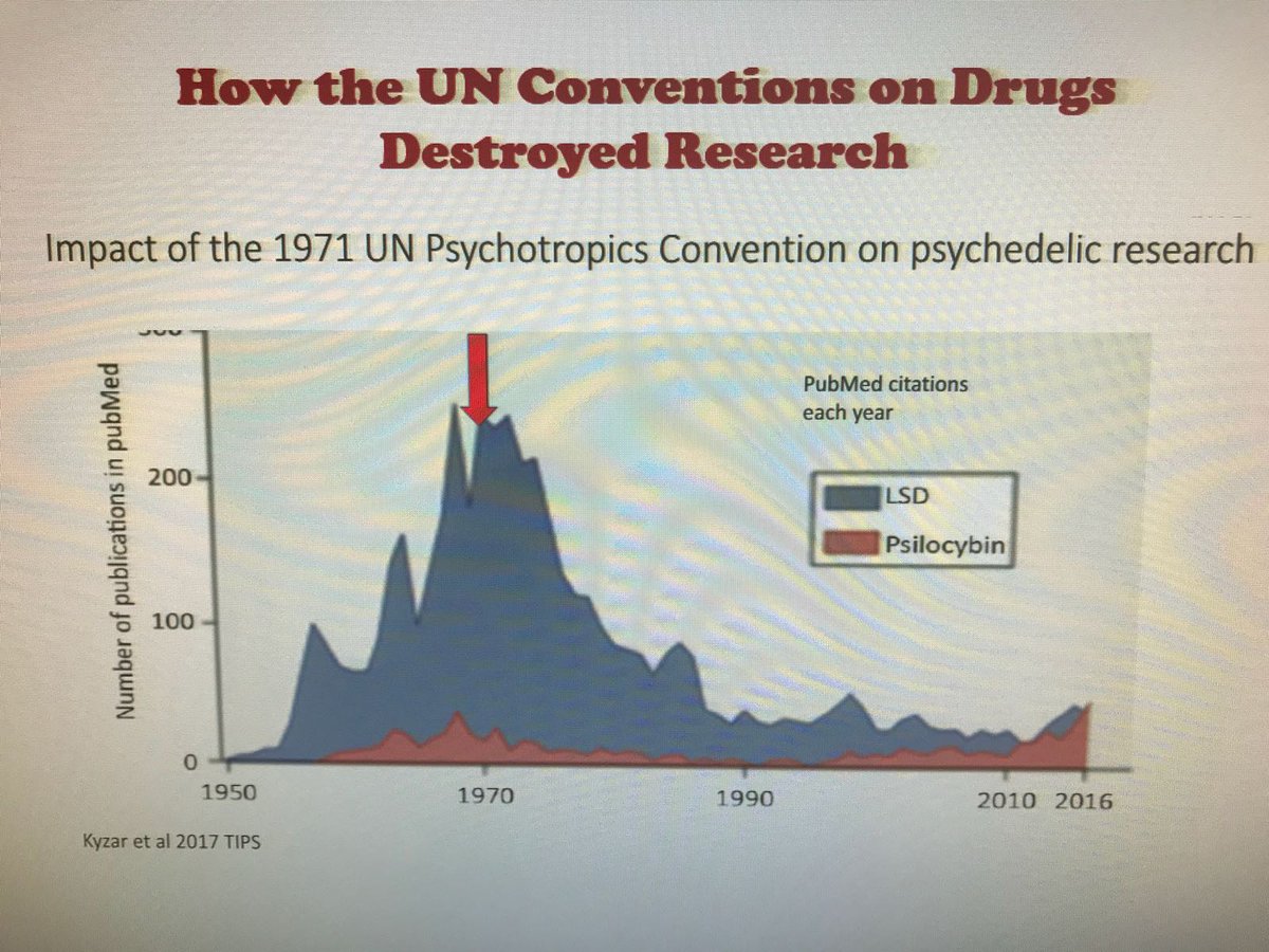 Free2research's tweet photo. . @DrSessa: "This is how the #UNConvention on Psychotropic Substances of 1971 has massacred scientific research on them. Here is the trend of publications on the subject by year." #ChangeTheFuture #Science4Democracy #FreeResearch @ass_coscioni https://t.co/1p4rCwQd4m