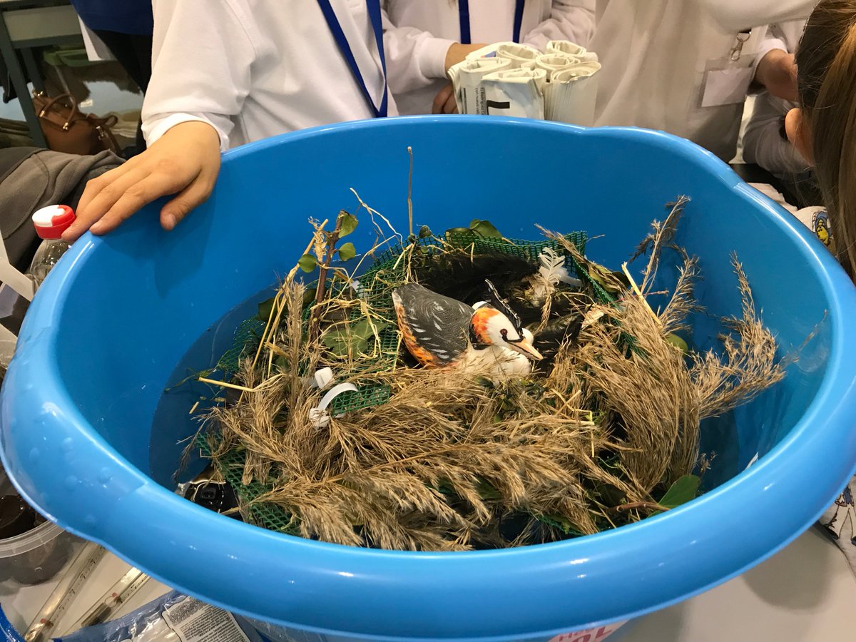 StemForYouth's tweet photo. Floating nest, hydrorobot, microorganism and natural antibiotics, artificial satellites, holography… at the STEMforYouth Science Fair Festival at @unican @UCDivulga #stemforyouth https://t.co/PPexBCyjnG