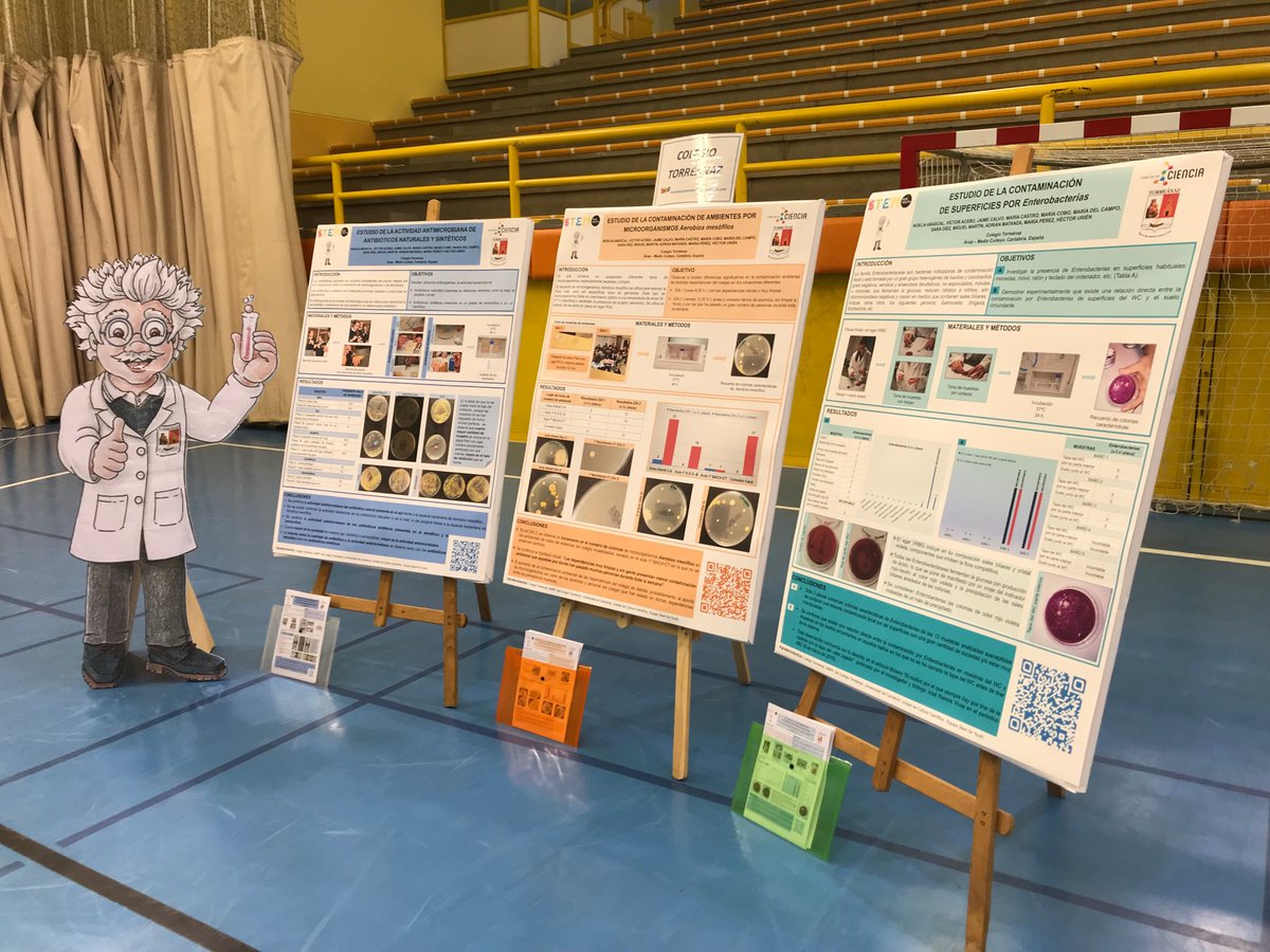 StemForYouth's tweet photo. Floating nest, hydrorobot, microorganism and natural antibiotics, artificial satellites, holography… at the STEMforYouth Science Fair Festival at @unican @UCDivulga #stemforyouth https://t.co/PPexBCyjnG