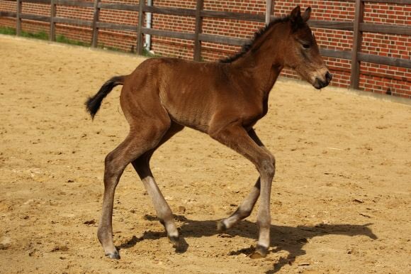 Andreas Wöhler tweet media