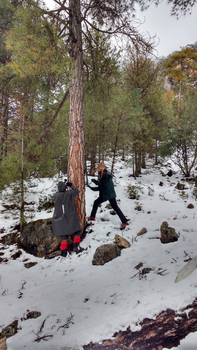 OldGrowth_UHU's tweet photo. Esta semana estamos en campo realizando los muestreos del proyecto @OldGrowth_UHU @FBiodiversidad @uhu_global 🌲 en compañia del fotógrafo y documentalista #ManuTrillo https://t.co/bmuOWzzDJu